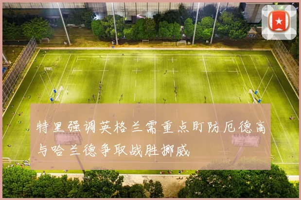 特里强调英格兰需重点盯防厄德高与哈兰德争取战胜挪威