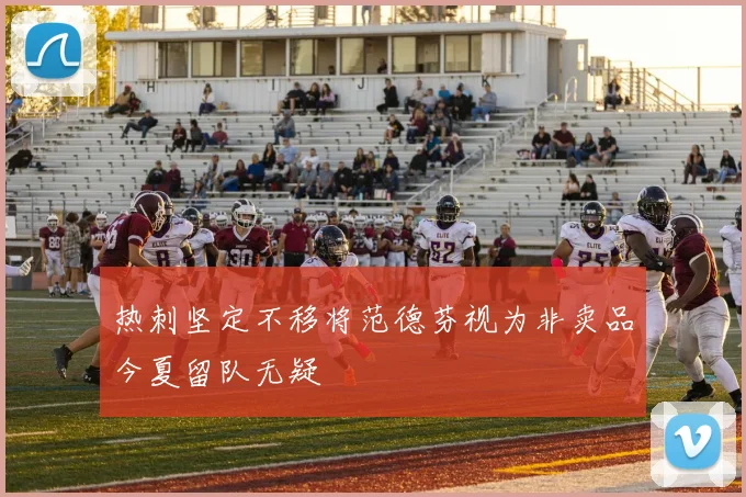 热刺坚定不移将范德芬视为非卖品今夏留队无疑